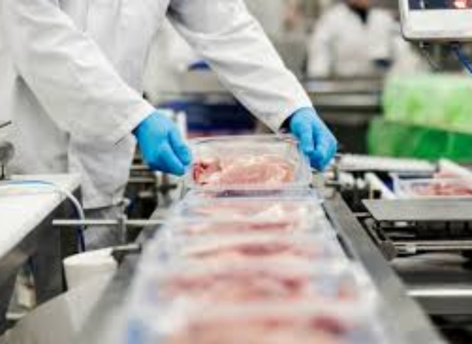 Ongoing Recruitment Support for Prestigious Poultry Producer in HU7